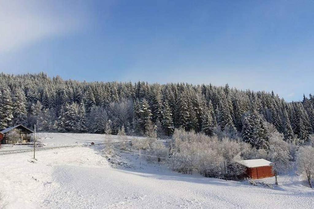 Dalen Studio 1 Екстер'єр фото